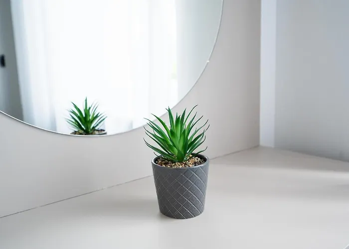 Old Town Design Apartman